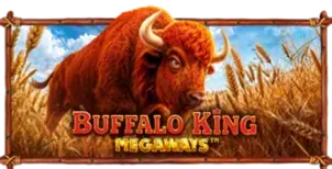 ภาพเกม Buffalo King Megaways ที่ sqgame555 รวบรวมไว้